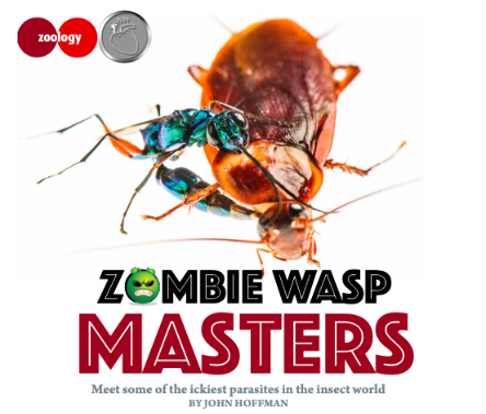Zombie Wasp Masters