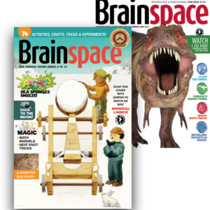 Brainspace Covers Image