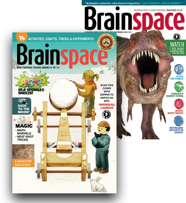 Brainspace Covers Image