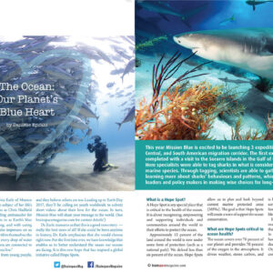 THE OCEAN: OUR PLANET'S BLUE HEART ARTICLE