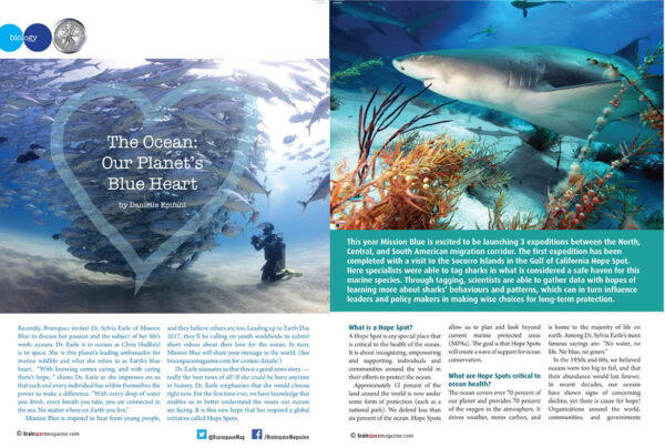 THE OCEAN: OUR PLANET'S BLUE HEART ARTICLE