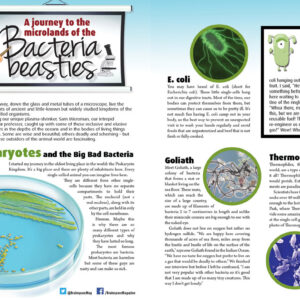 A JOURNEY TO THE MICROLANDS OF THE BACTERIA BEASTIES