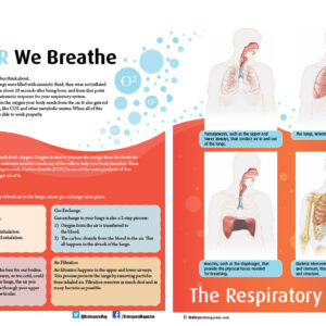 THE AIR WE BREATHE ARTICLE