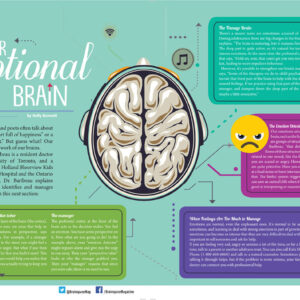 YOUR EMOTIONAL BRAIN ARTICLE