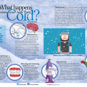 WHAT HAPPENS WHEN YOUR BODY GETS COLD?