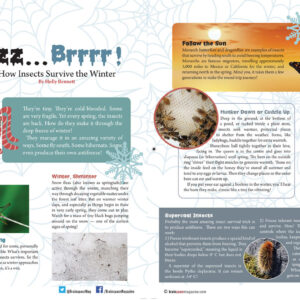 BZZZZ...BRRRR!