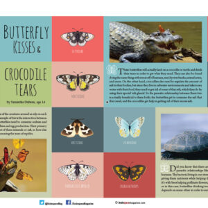 BUTTERFLY KISSES & CROCODILE TEARS