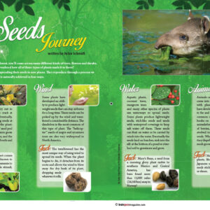 A SEEDS JOURNEY ARTICLE
