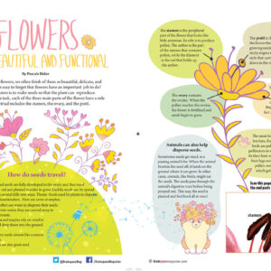 FLOWERS - BOTH BEAUTIFUL AND FUNCTIONAL