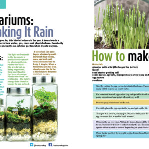 TERRARIUMS: MAKING IT RAIN