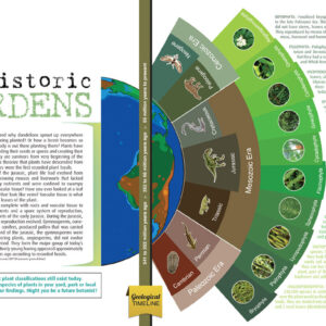 PREHISTORIC GARDENS ARTICLE