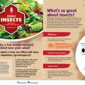 EDIBLE INSECTS ARTICLE