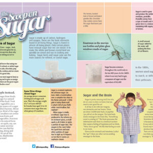 THE SCOOP ON SUGAR ARTICLE