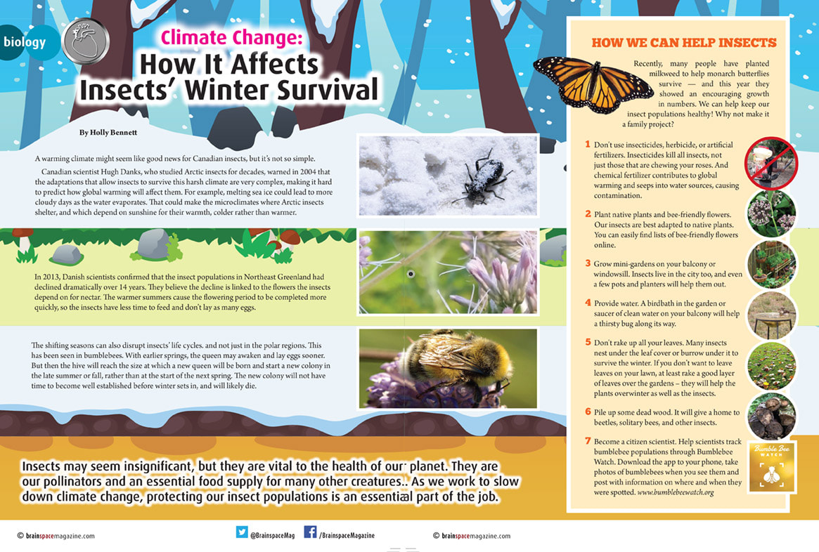 CLIMATE CHANGE: HOW IT AFFECTS INSECTS' WINTER SURVIVAL ARTICLE