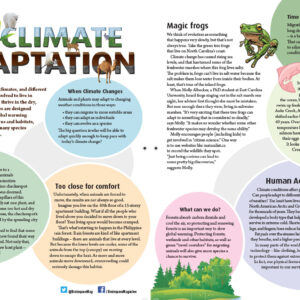 CLIMATE ADAPTATION ARTICLE