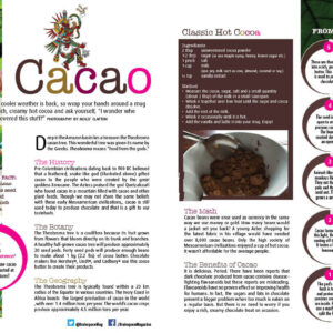 CACAO ARTICLE