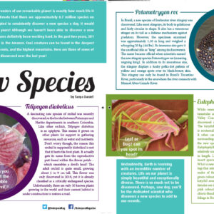 NEW SPECIES ARTICLE