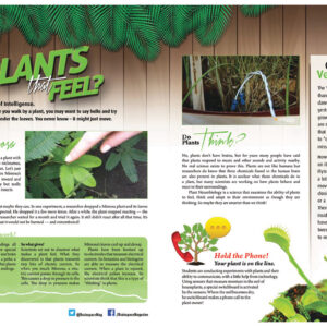 PLANTS THAT FEEL ARTICLE