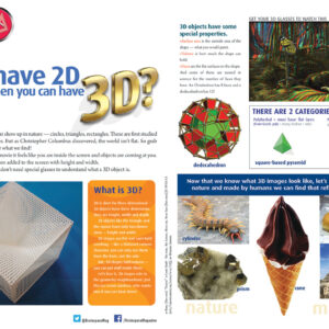 WHY HAVE 2D WHEN YOU CAN HAVE 3D ARTICLE