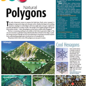 NATURAL POLYGONS ARTICLE