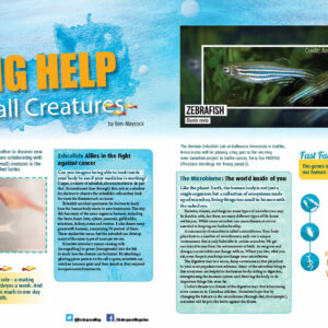 BIG HELP FROM SMALL CREATURES ARTICLE