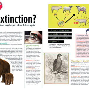 DEEXTINCTION ARTICLE