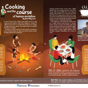 COOKING AND THE COURSE OF HUMAN EVOLUTION ARTICLE