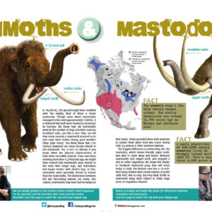 MAMMOTHS & MASTODONS ARTICLE