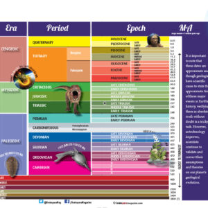 EARTH'S GEOLOGICAL TIMELINE TABLE