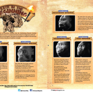 BACK IN THE BEGINNING ARTICLE
