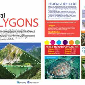 NATURAL POLYGONS ARTICLE