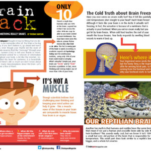 BRAIN YACK ARTICLE