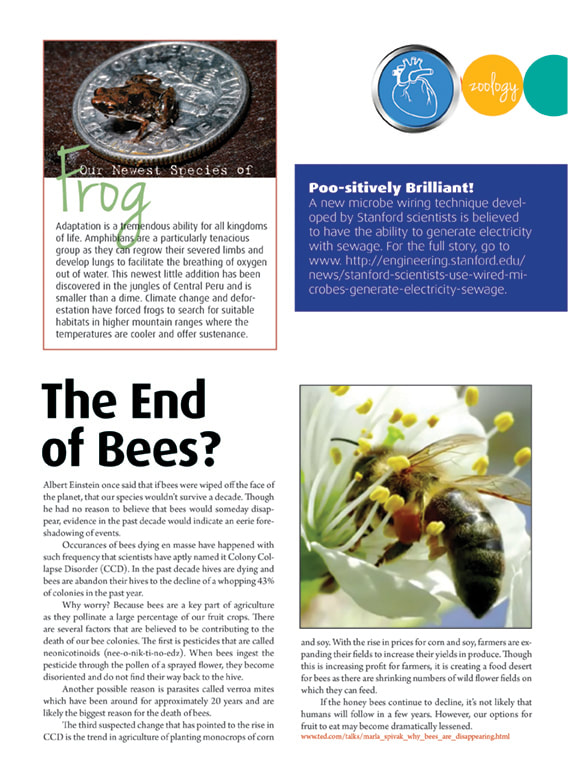 THE END OF BEES ARTICLE