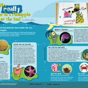 WHO REALLY LIVES IN A PINEAPPLE UNDER THE SEA ARTICLE