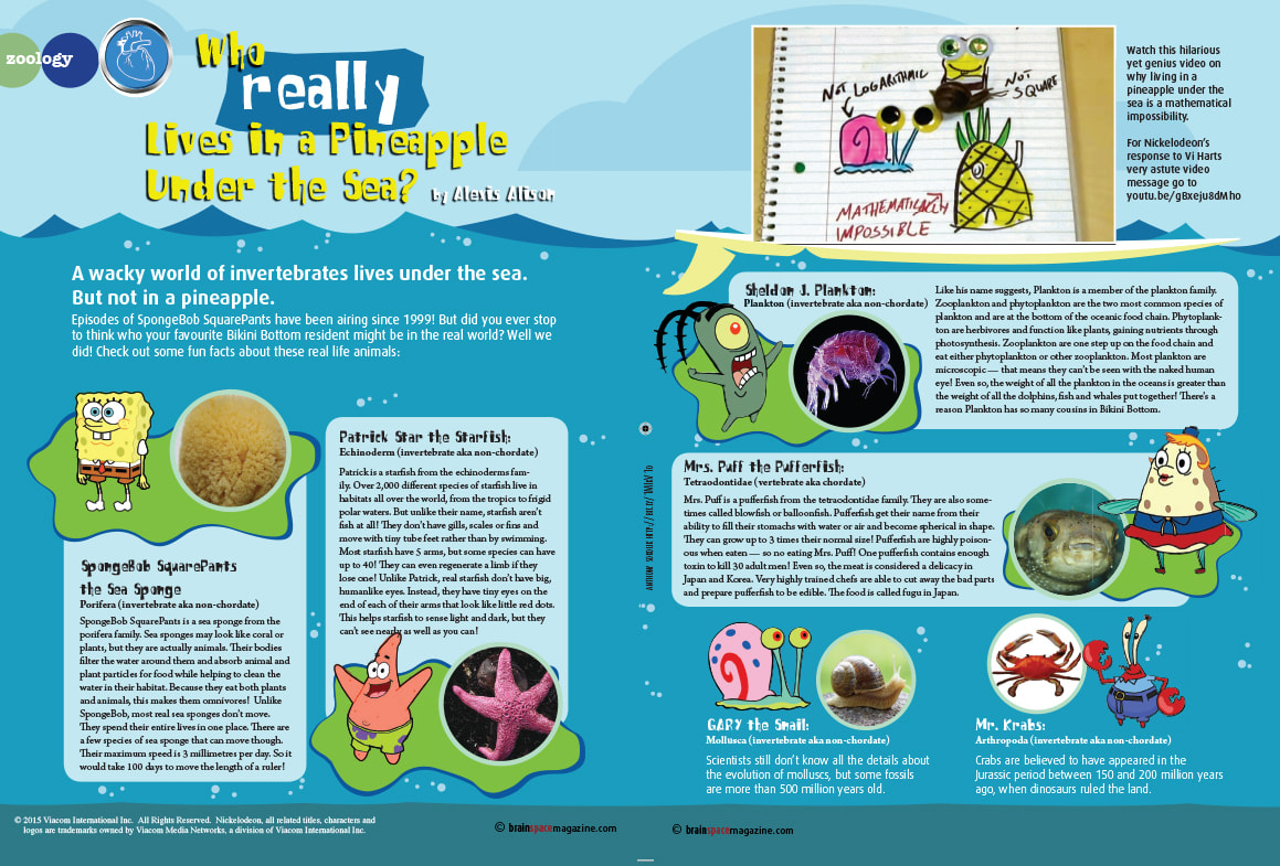 WHO REALLY LIVES IN A PINEAPPLE UNDER THE SEA ARTICLE