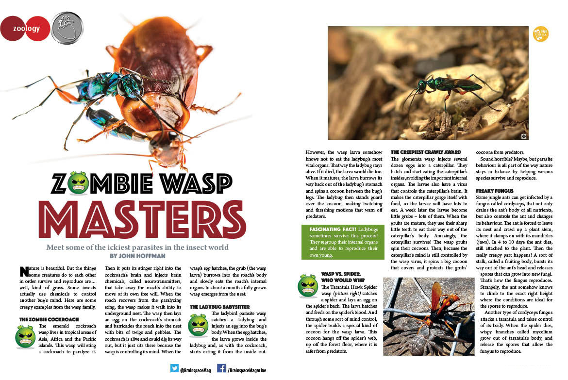 ZOMBIE WASP MASTERS ARTICLE