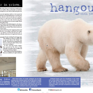 HANGOUT ARTICLE