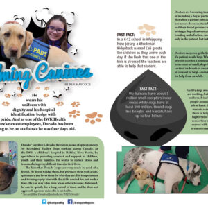 CALMING CANINES ARTICLE