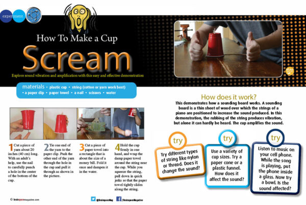 HOW TO MAKE A CUP SCREAM ARTICLE