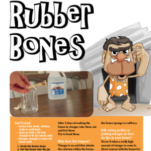 RUBBER BONES ARTICLE