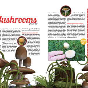 MUSHROOMS ARTICLE