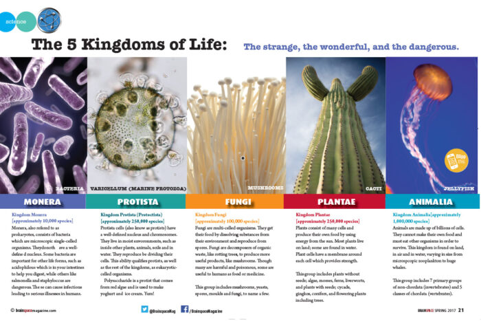 Science – The 5 Kingdoms of Life : Brainspace Magazine – Interactive ...