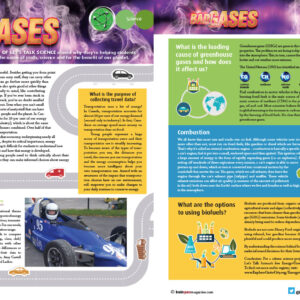 BAD GASES ARTICLE