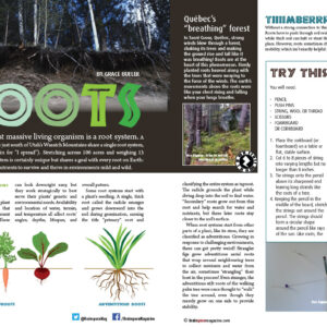 ROOTS ARTICLE