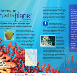 Protecting Our Skin and the Planet article