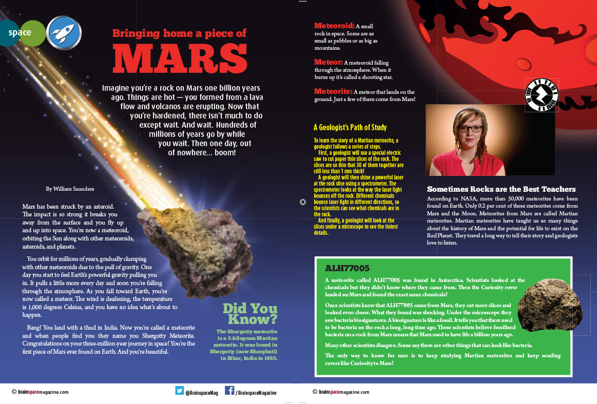 Bringing Home A Piece of MARS article