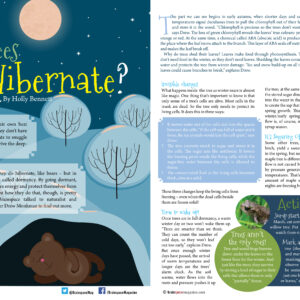 Do Trees Hibernate? article