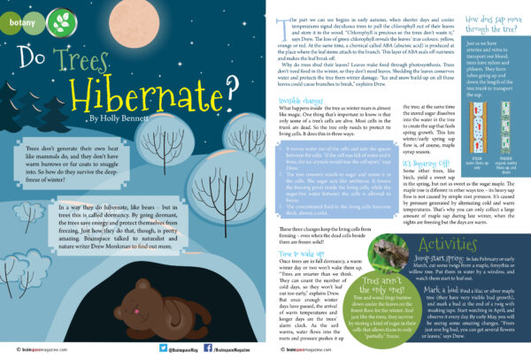 Do Trees Hibernate? article