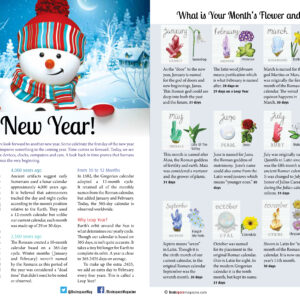 A New Year & Month Flower & Gemstone Article