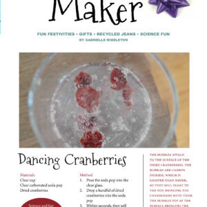 Maker Crafts - Dancing Cranberries Tutorial Article